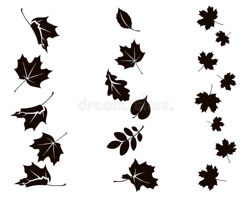 Vector silhouette of maple, oak, rowan and other leaves. Set of autumn decorations. Vector silhouette of maple, oak, rowan and other leaves. Set of autumn decorations.