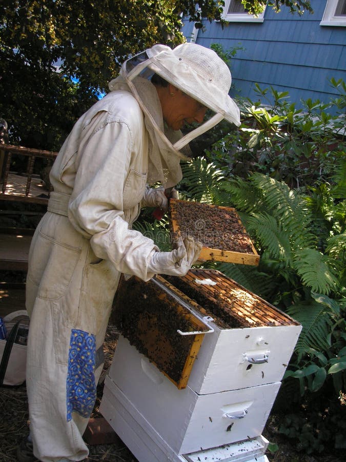 μελισσοκόμος που ελέγ&c