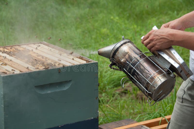 Μελισσοκόμος που χρησιμοποιεί τον καπνιστή κυψελών