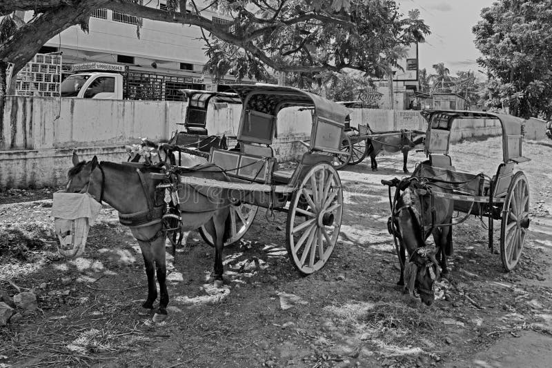 Transport- Traditional Village Horse cart -near Bus stand Srirangapatna Near Mysore Karnataka INDIA. Transport- Traditional Village Horse cart -near Bus stand Srirangapatna Near Mysore Karnataka INDIA