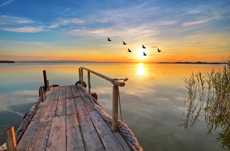 Destroyed a pier with a quiet water i few birds around. Destroyed a pier with a quiet water i few birds around