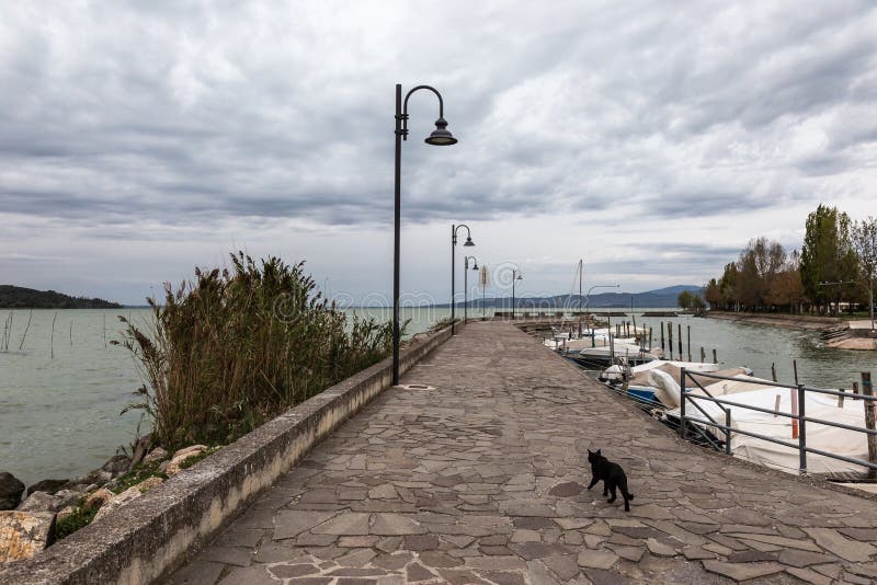 Μια γάτα σε μια αποβάθρα στη λίμνη Ουμβρία Trasimeno, με μερικές ελλιμενισμένες βάρκες και κάτω από έναν συννεφιάζω ουρανό στοκ εικόνα Μια γάτα σε μια αποβάθρα στη λίμνη Ουμβρία Trasimeno, με μερικές ελλιμενισμένες βάρκες και κάτω από έναν συννεφιάζω ουρανό στοκ εικόνα