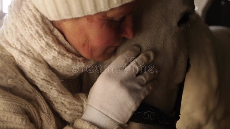 μια ηλικιωμένη γυναίκα αγαπάει το άλογό της φιλά αγκαλιάζει τα χτυπήματα και της μιλάει. φροντίδα για κατοικίδια. κλείσιμο απόθεμα βίντεο