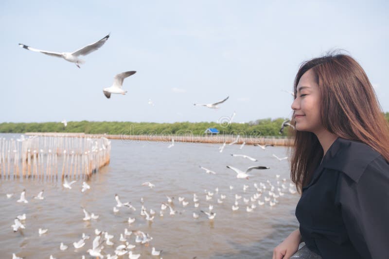 Μια όμορφη ασιατική γυναίκα με ένα κοπάδι seagulls που πετούν επάνω από τη θάλασσα με το υπόβαθρο μπλε ουρανού στοκ εικόνες με δικαίωμα ελεύθερης χρήσης Μια όμορφη ασιατική γυναίκα με ένα κοπάδι seagulls που πετούν επάνω από τη θάλασσα με το υπόβαθρο μπλε ουρανού στοκ εικόνες με δικαίωμα ελεύθερης χρήσης