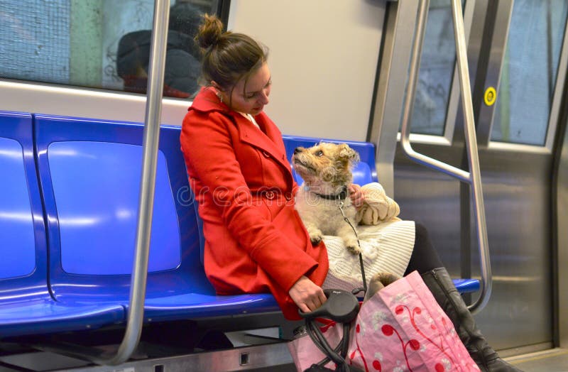 Bucharest, Romania - December 03, 2015: A young lady in red coat sitting in subway train and talking to her small dog which looks into her eyes. Bucharest, Romania - December 03, 2015: A young lady in red coat sitting in subway train and talking to her small dog which looks into her eyes.