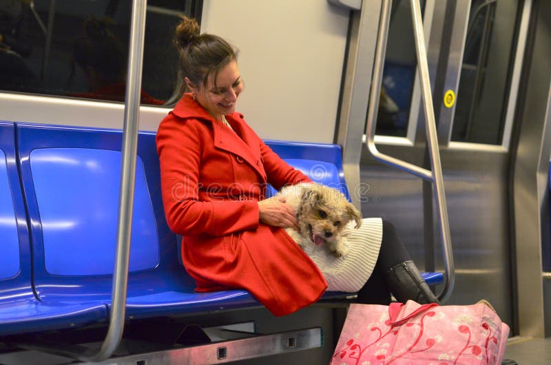 Bucharest, Romania - December 03, 2015: A young lady in red coat sitting in subway train laughs and plays with her cute dog. Bucharest, Romania - December 03, 2015: A young lady in red coat sitting in subway train laughs and plays with her cute dog.