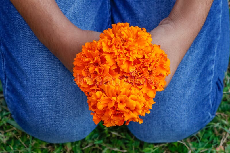 Μικρό κορίτσι που κρατά την κίτρινη marigold ανθοδέσμη λουλουδιών στοκ φωτογραφία με δικαίωμα ελεύθερης χρήσης Μικρό κορίτσι που κρατά την κίτρινη marigold ανθοδέσμη λουλουδιών στοκ φωτογραφία με δικαίωμα ελεύθερης χρήσης