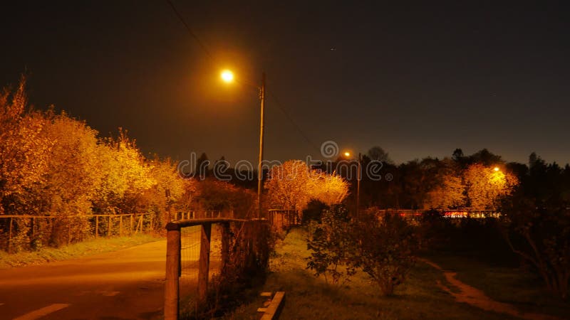 Μοναχικός επαρχιακός δρόμος με το Prairie και τα φανάρια του δρόμου Νυχτερινή Ψύχρα στοκ φωτογραφία με δικαίωμα ελεύθερης χρήσης