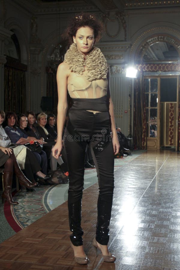 μοντέλο στοκ φωτογραφίες