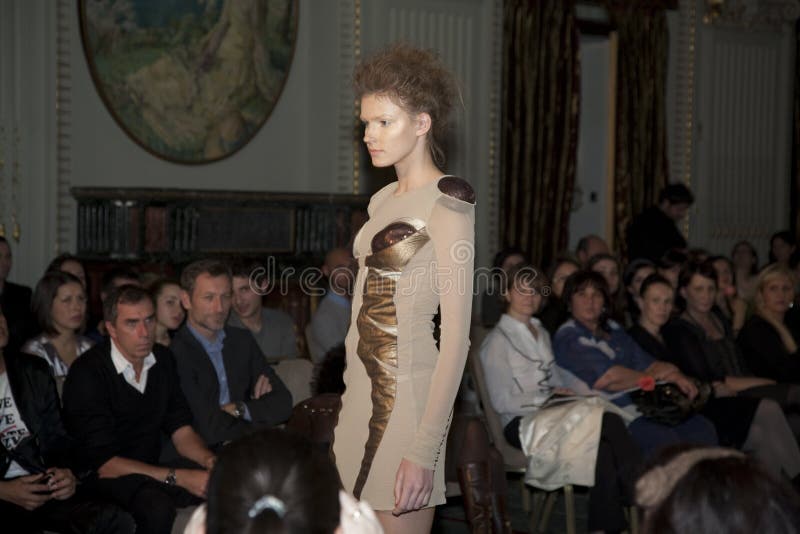 μοντέλο στοκ φωτογραφία με δικαίωμα ελεύθερης χρήσης