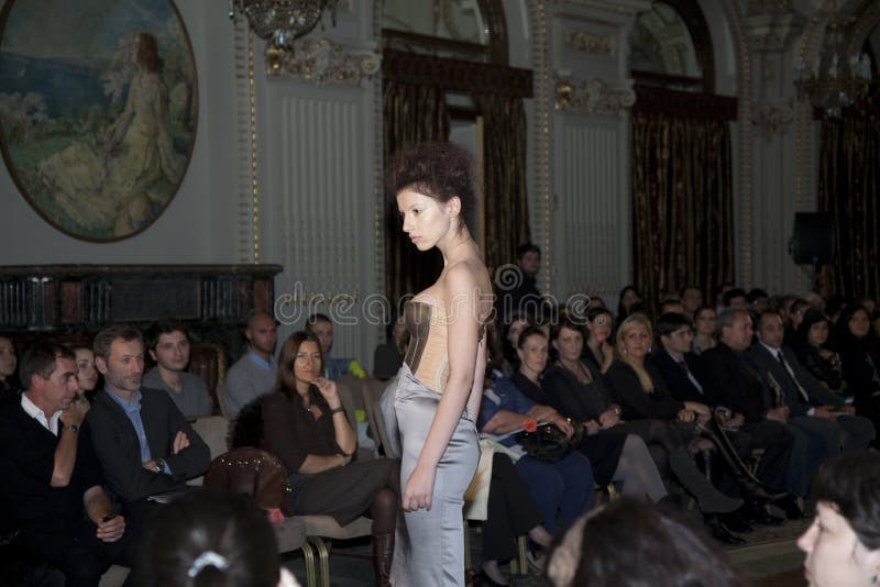 μοντέλο στοκ εικόνες