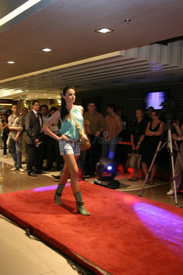 μοντέλο στοκ εικόνες