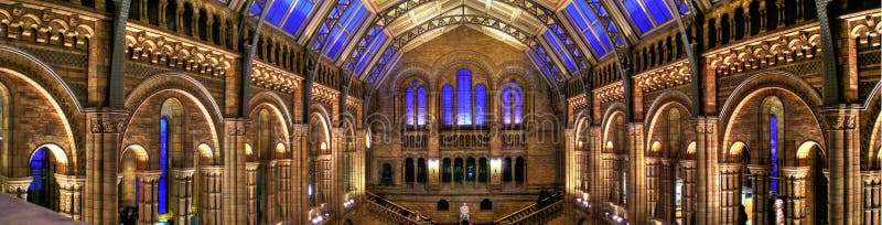 Darwin on the center of Natural History Museum main hall. Darwin on the center of Natural History Museum main hall