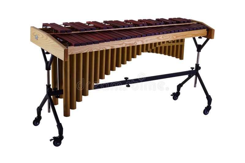 The xylophone is a musical instrument in the percussion family. The xylophone is a musical instrument in the percussion family.