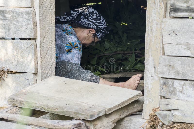 Μουσουλμανικοί ταΐζοντας μεταξοσκώληκες γυναικών από τα φύλλα μέσα στην ξύλινη αποθήκη εμπορευμάτων στοκ εικόνες με δικαίωμα ελεύθερης χρήσης