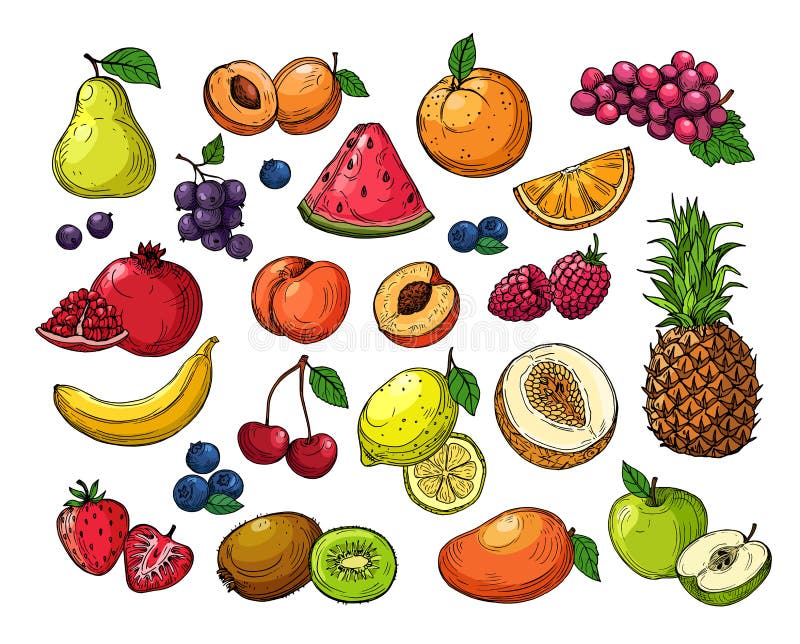 Cartoon berries and fruits. Pineapple grapes, pear apple, orange mango, melon kiwi, banana lemon. Vector isolated set. Illustration of watermelon and strawberry, juicy fruit. Cartoon berries and fruits. Pineapple grapes, pear apple, orange mango, melon kiwi, banana lemon. Vector isolated set. Illustration of watermelon and strawberry, juicy fruit