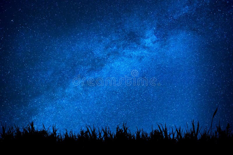 Blue dark night sky with many stars above field of grass. Milkyway cosmos background. Blue dark night sky with many stars above field of grass. Milkyway cosmos background