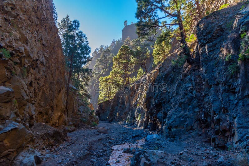 μπαράνκο ντε λα ανγκουστιά στην caldera de taburiente στα κανάρια νησιά la palma ισπανία στοκ φωτογραφίες με δικαίωμα ελεύθερης χρήσης