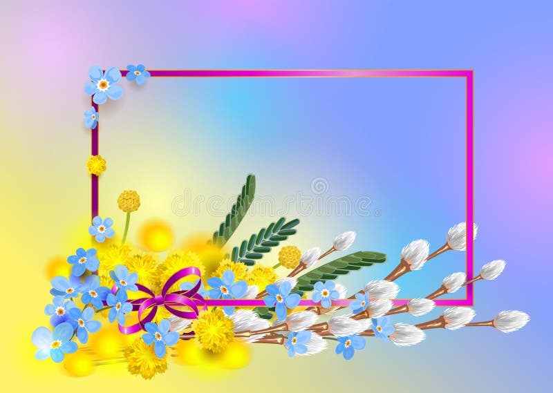 Μπλε forget-me-not ανθοδεσμών, κίτρινο mimosa και χνουδωτός κλάδος ιτιών Άνοιξη εποχής καρτών πλαισίων διανυσματική απεικόνιση