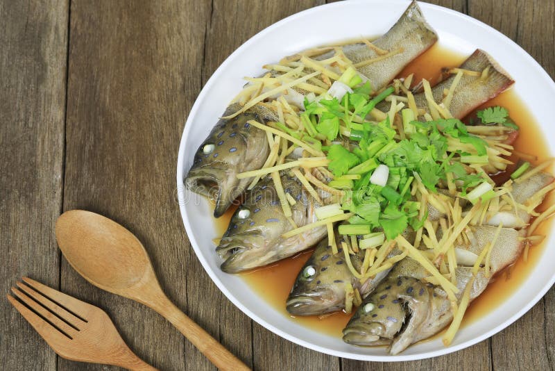 Μπλε Grouper ψάρια που βράζουν στον ατμό της σάλτσας σόγιας στο άσπρο πιάτο στο καφετί wo στοκ φωτογραφίες Μπλε Grouper ψάρια που βράζουν στον ατμό της σάλτσας σόγιας στο άσπρο πιάτο στο καφετί wo στοκ φωτογραφίες