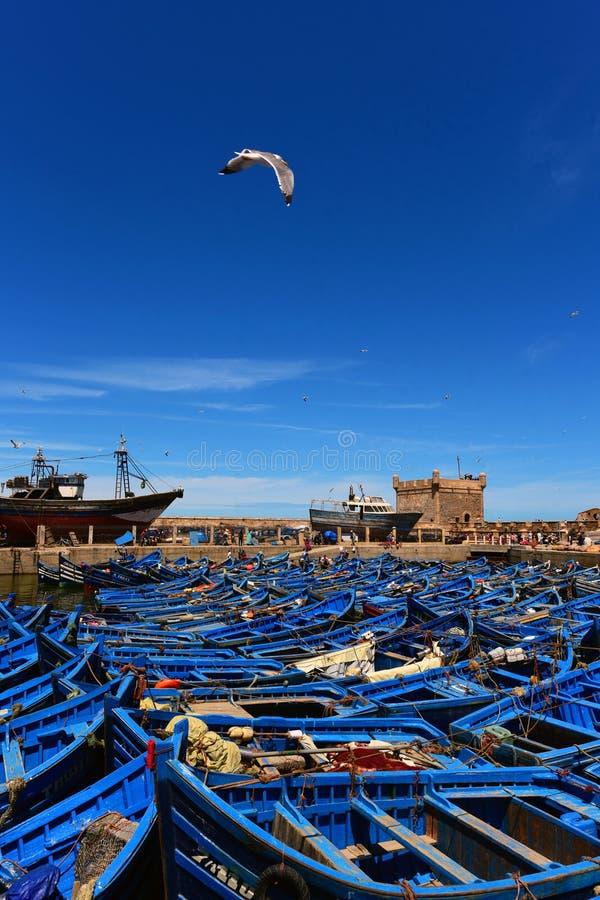 Μπλε αλιευτικά σκάφη στο λιμένα Essaouira - το Μαρόκο στοκ εικόνες Μπλε αλιευτικά σκάφη στο λιμένα Essaouira - το Μαρόκο στοκ εικόνες