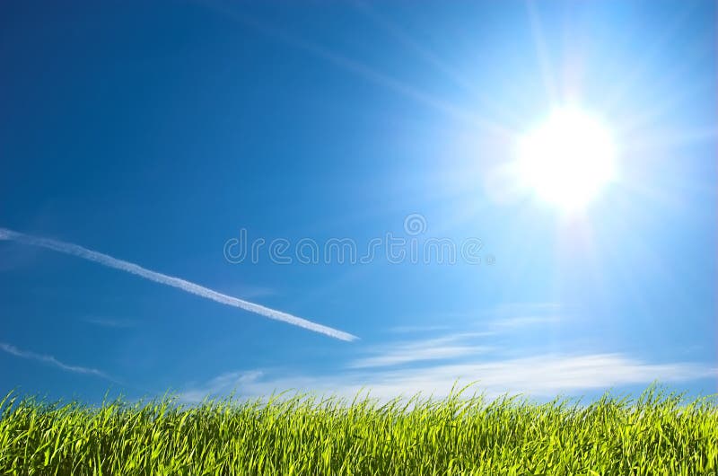 Fresh green grass on bright blue sunny sky background. Fresh green grass on bright blue sunny sky background