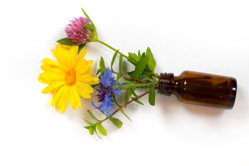 Μπουκάλι με το calendula, τη μέντα, το τριφύλλι και το γαρίφαλο στοκ εικόνες Μπουκάλι με το calendula, τη μέντα, το τριφύλλι και το γαρίφαλο στοκ εικόνες