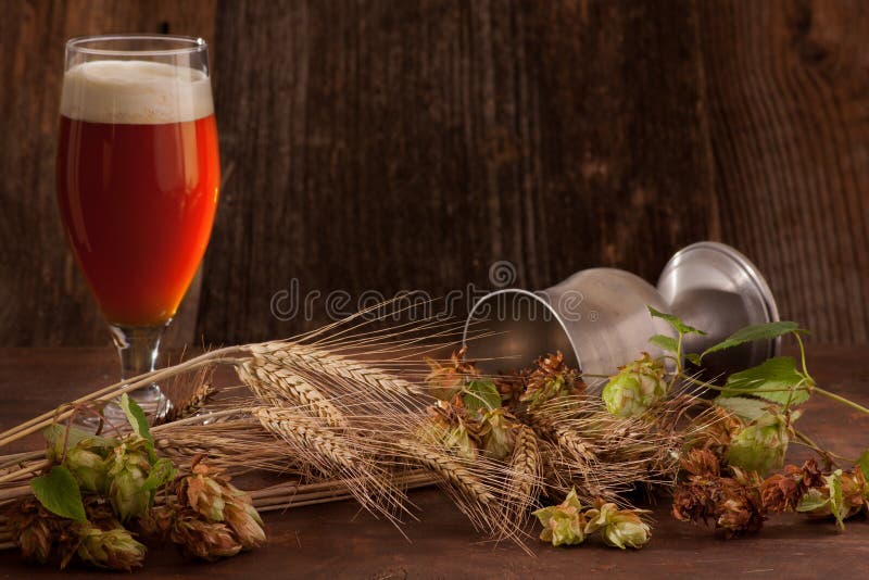 A glass of dark beer with beer foam hat. In the foreground ears of barley and fresh hops - brewing raw materials. Focus on barley ears. A glass of dark beer with beer foam hat. In the foreground ears of barley and fresh hops - brewing raw materials. Focus on barley ears.