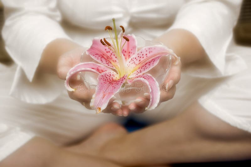 Part of female body in white dress in meditating position keeping saucer with water and pink lily. Part of female body in white dress in meditating position keeping saucer with water and pink lily