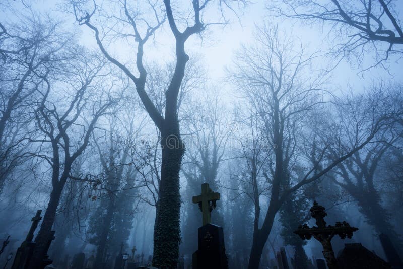 Μυστήριο νεκροταφείο το misty πρόωρο βράδυ στοκ φωτογραφία με δικαίωμα ελεύθερης χρήσης Μυστήριο νεκροταφείο το misty πρόωρο βράδυ στοκ φωτογραφία με δικαίωμα ελεύθερης χρήσης
