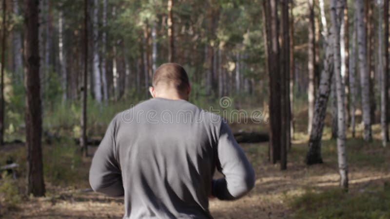 Μυϊκός δρομέας που τρέχει στο δρόμο μέσω της δασικής πίσω άποψης Αθλητικό άτομο που τρέχει στο δρόμο μέσω του δασικού αθλητικού α
