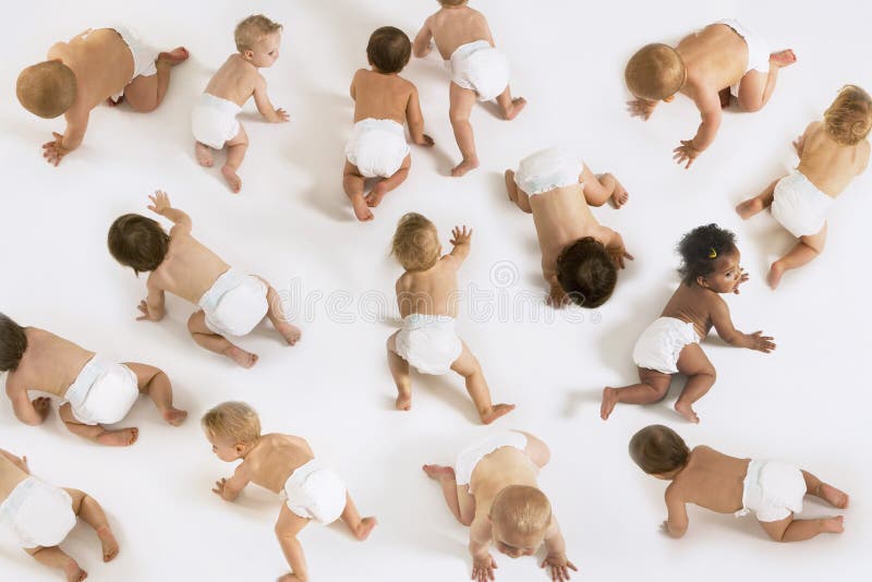 Μωρά που σέρνονται στο άσπρο υπόβαθρο