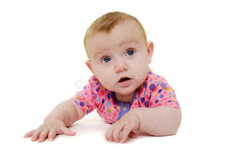 A sweet baby 3 month young. Resting on af white background. A sweet baby 3 month young. Resting on af white background.