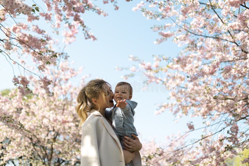 Νέα μητέρα mom που κρατά την λίγο παιδί αγοριών γιων μωρών κάτω από τα ανθίζοντας δέντρα κερασιών SAKURA με τα μειωμένα ρόδινα πέ στοκ εικόνες Νέα μητέρα mom που κρατά την λίγο παιδί αγοριών γιων μωρών κάτω από τα ανθίζοντας δέντρα κερασιών SAKURA με τα μειωμένα ρόδινα πέ στοκ εικόνες
