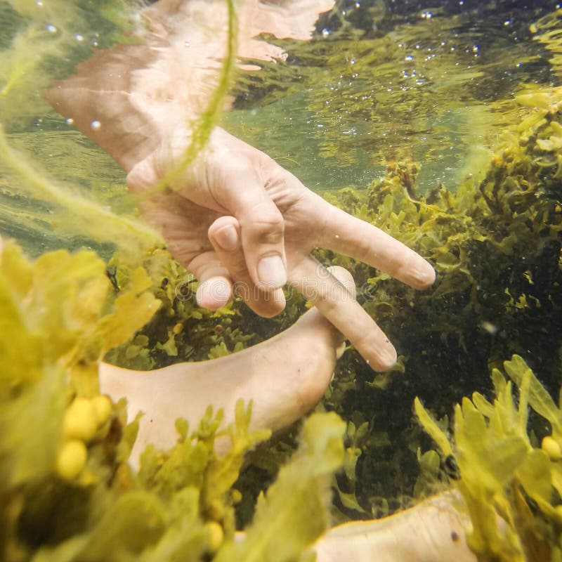 Νίκη. Υποβρύχια φωτογραφία νίκης με ένα GoPro