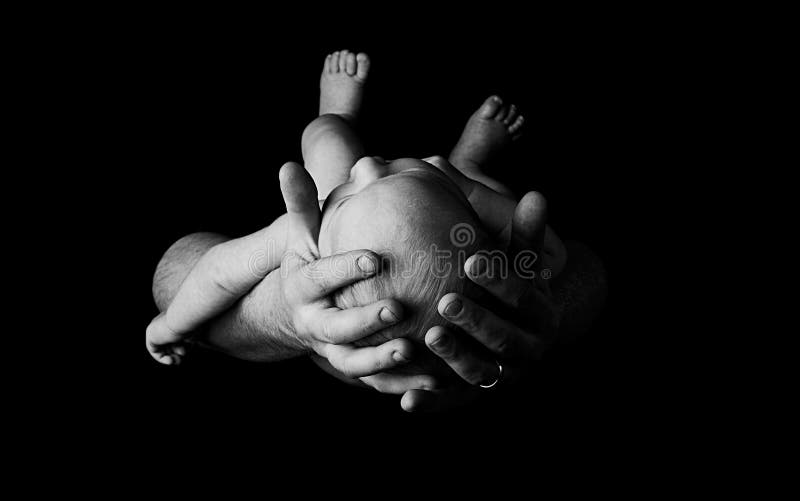 Newborn baby in fathers hands, black and white. Newborn baby in fathers hands, black and white