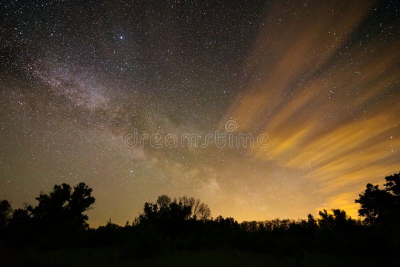 Night cloudy sky and forest scene. Night cloudy sky and forest scene