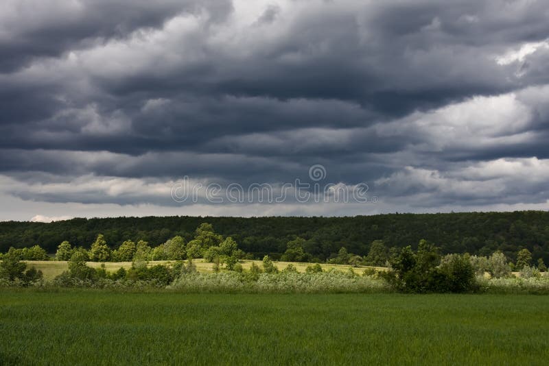 Cloudy sky over the meadows in the day afternoon. Cloudy sky over the meadows in the day afternoon