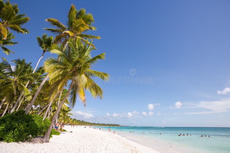 Beautiful Background of Saona Island in Punta Cana, Dominican Republic. Beautiful Background of Saona Island in Punta Cana, Dominican Republic.