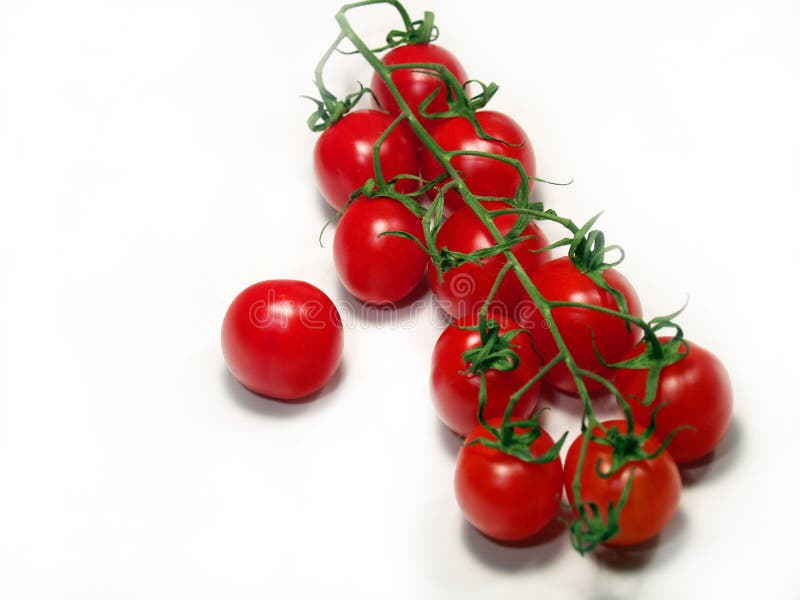 A vine of cherry tomatoes isolated. A vine of cherry tomatoes isolated.