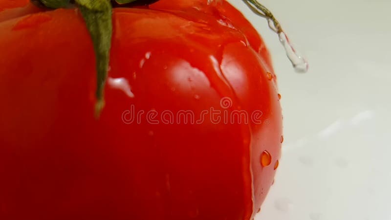 Ντοματών ώριμη χύνοντας βιταμίνη νερού αγνότητας βιταμινών ακατέργαστη φωτεινή σε αργή κίνηση πυροβολισμός, υγρό spinni NG απόθεμα βίντεο