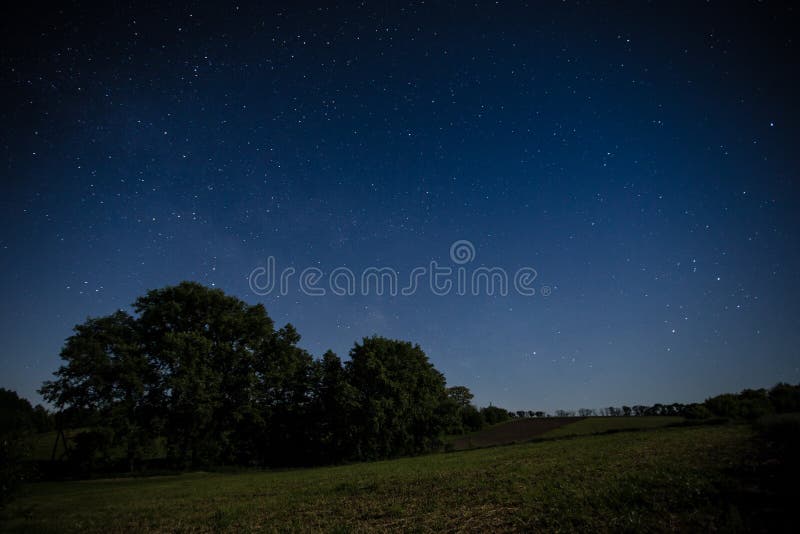Stars on night sky over a field. Stars on night sky over a field
