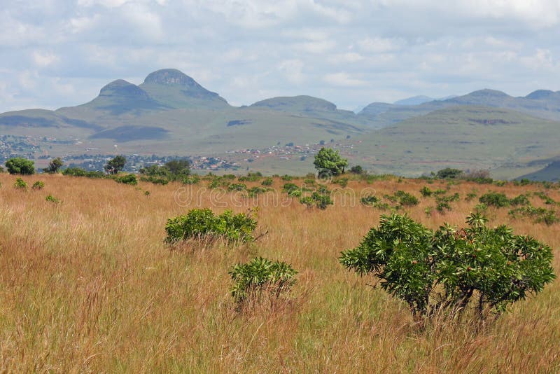 Scenic view of South Africa on a cloudy day. Scenic view of South Africa on a cloudy day.