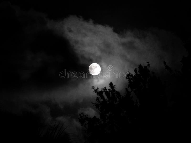 Moon at night. Moon at night