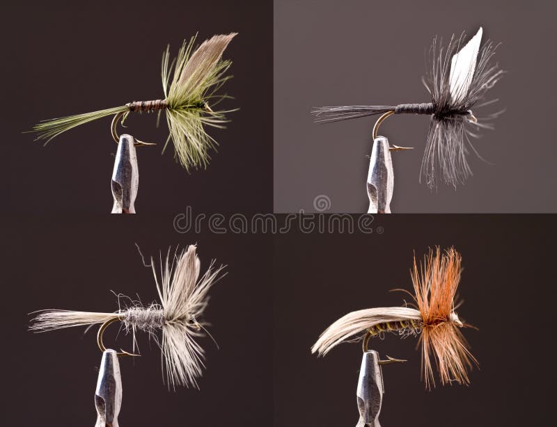 Four typical dry flies in brownish colors for lakes and rivers. Four typical dry flies in brownish colors for lakes and rivers