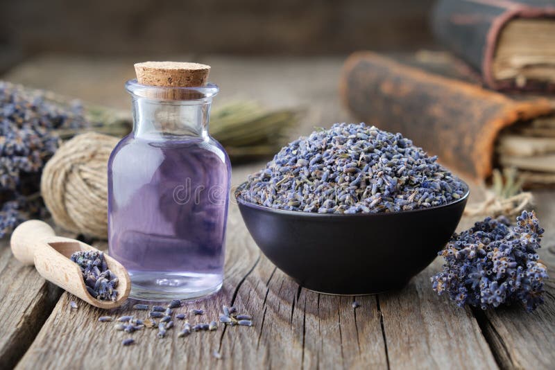 Dry lavender flowers in bowl and bottle of essential lavender oil or infused water. Old books and lavender flowers bunch on background. Dry lavender flowers in bowl and bottle of essential lavender oil or infused water. Old books and lavender flowers bunch on background