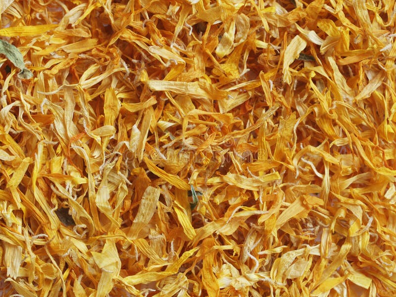 ξηρό marigold λουλουδιών