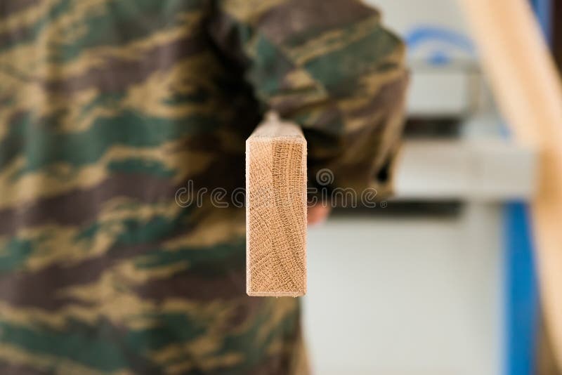 Ξυλουργός με την ξύλινη πίσω άποψη ακτίνων στοκ φωτογραφία με δικαίωμα ελεύθερης χρήσης Ξυλουργός με την ξύλινη πίσω άποψη ακτίνων στοκ φωτογραφία με δικαίωμα ελεύθερης χρήσης