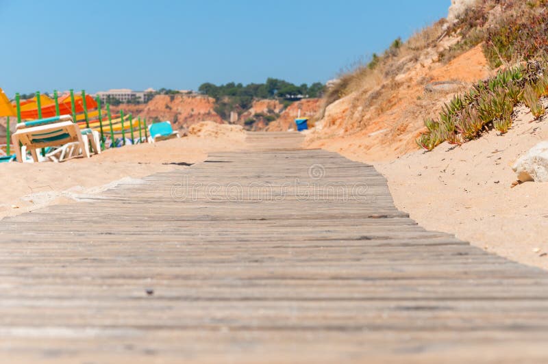 Ξύλινη πορεία στην παραλία Falesia στην Πορτογαλία στοκ εικόνες Ξύλινη πορεία στην παραλία Falesia στην Πορτογαλία στοκ εικόνες