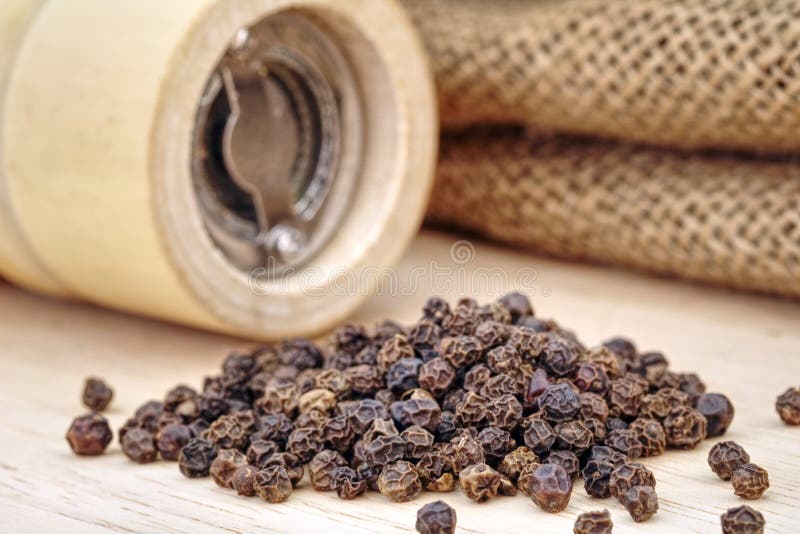 Ξύλινος μύλος πιπεριών και μαύρο peppercorn στοκ εικόνες